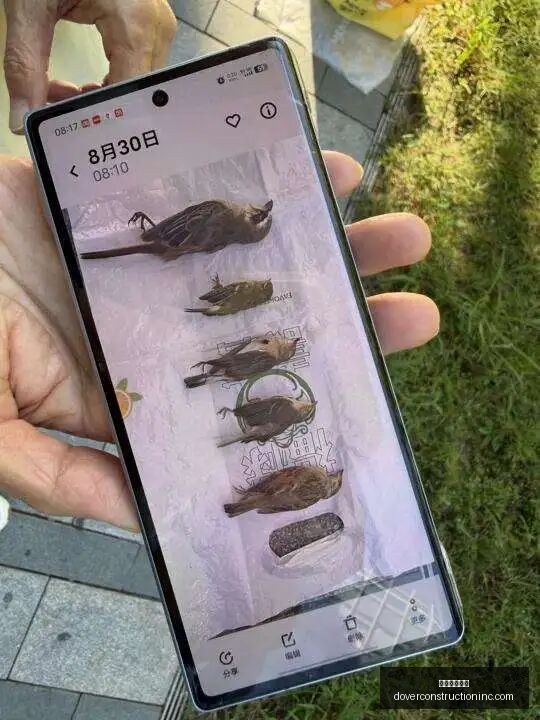 荣耀电竞显,示器新升级,电竞视界更,赌网推荐平台官网,赌网推荐平台App,赌网推荐平台下载,赌网推荐平台登录,赌网推荐平台